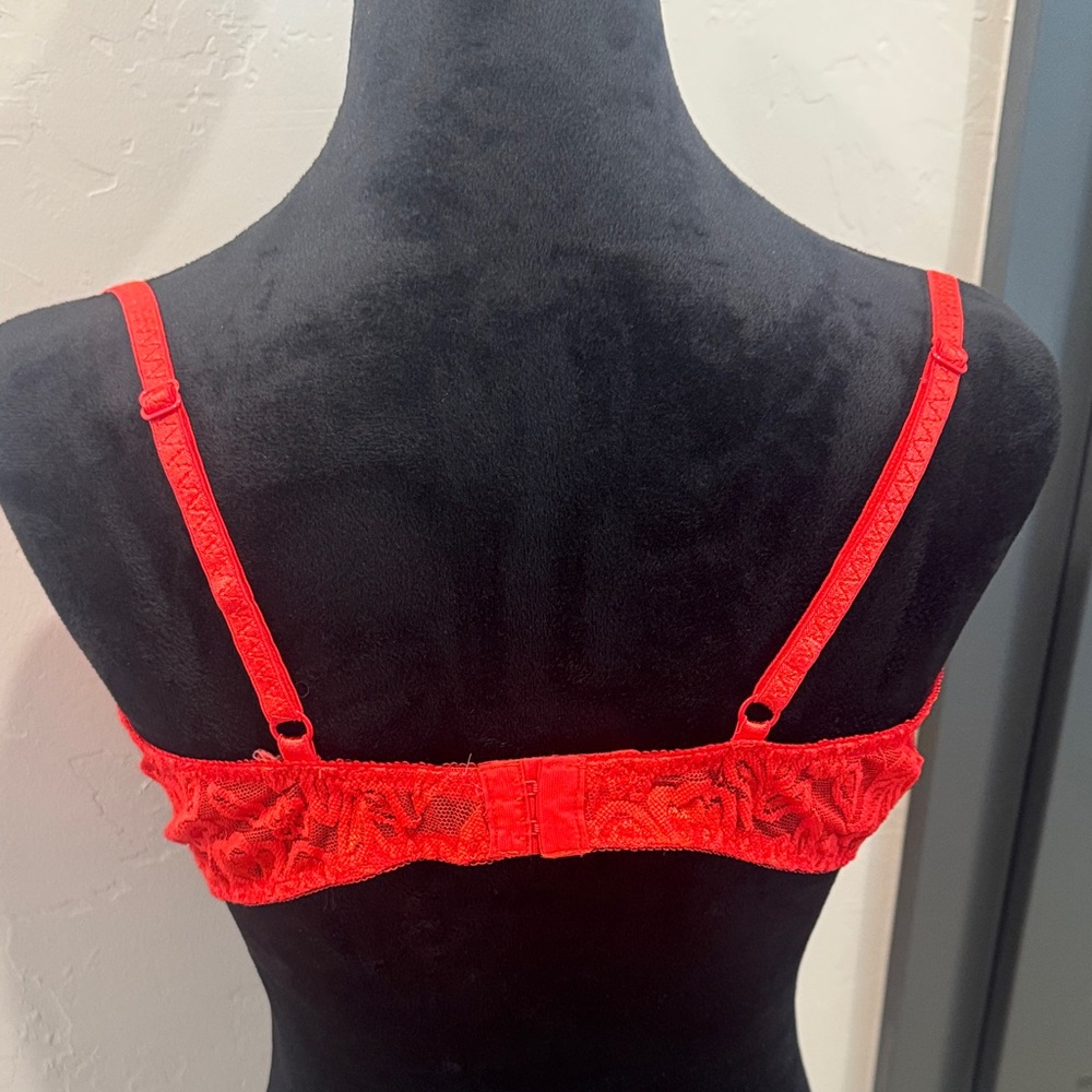 Dreamgirl Scarlet Lace Bra - Picture 2 of 4